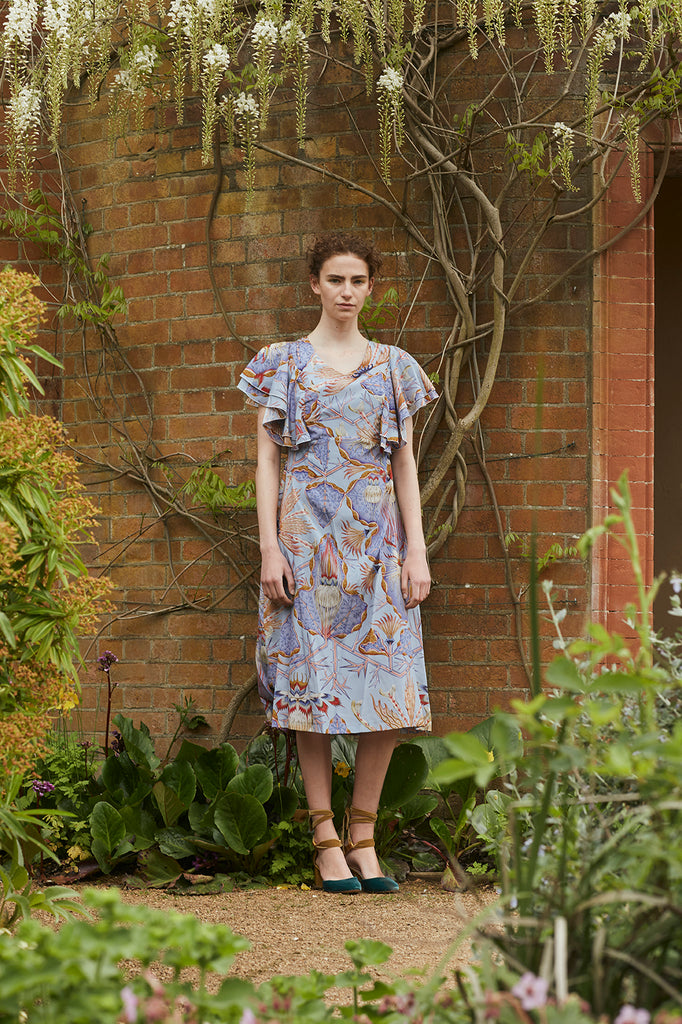 Schizostylis ruffled shoulder dress