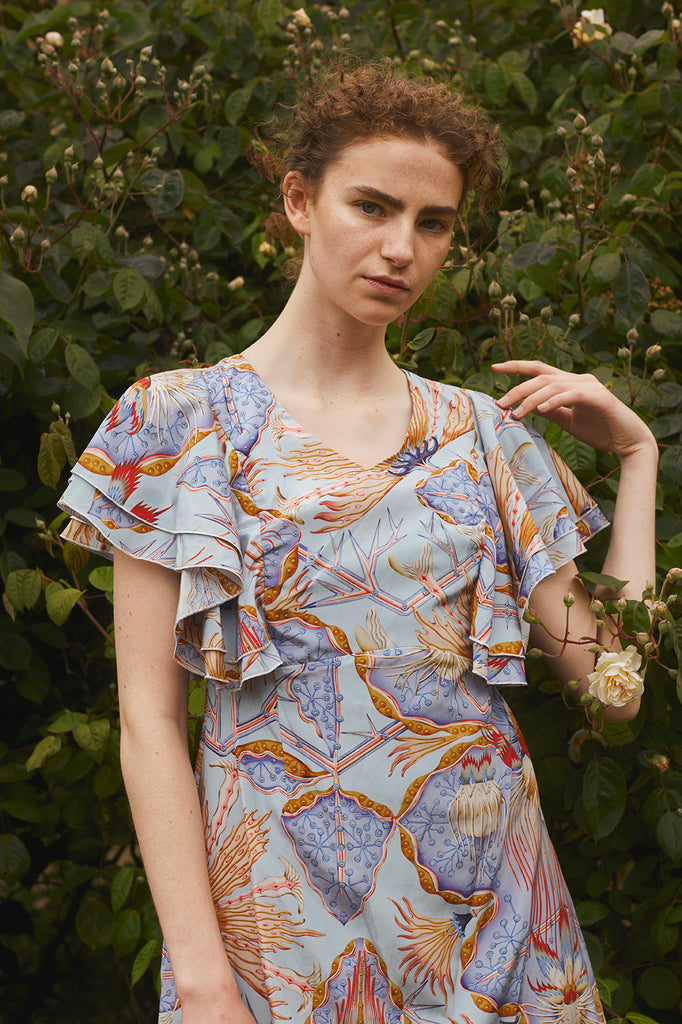 Schizostylis ruffled shoulder dress